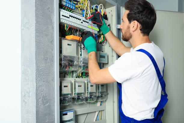 Best Electric Panel Repair  in Fergus Falls, MN